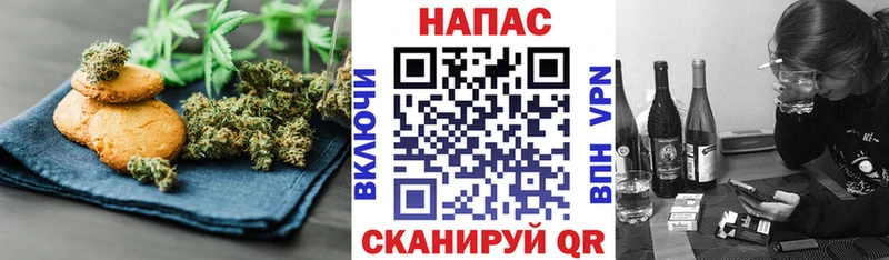 MEGA как войти  как найти   Стародуб  Cannafood конопля 
