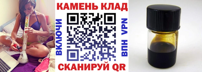 OMG ONION  Стародуб  ГАШ гарик 