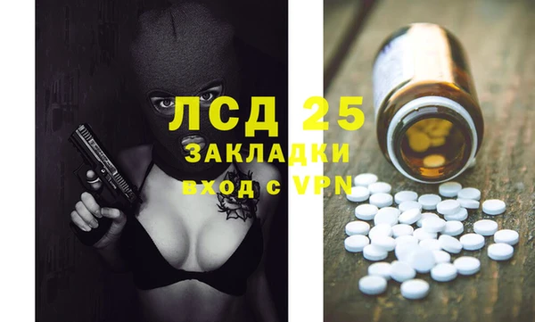 сатива Алзамай