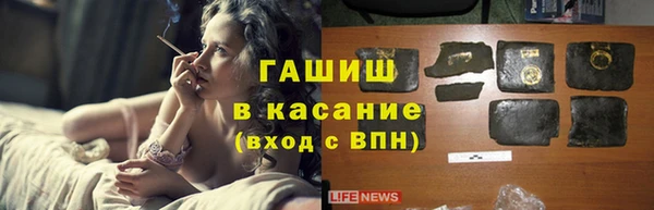сатива Алзамай