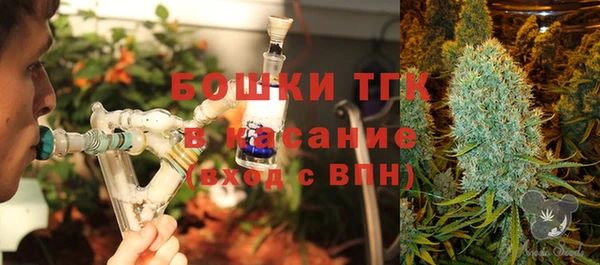 сатива Алзамай