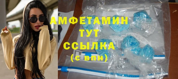 сатива Алзамай