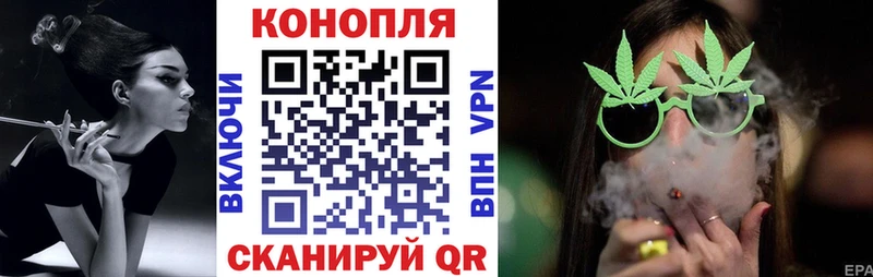 блэк спрут онион  закладки  Стародуб  Бошки марихуана конопля 